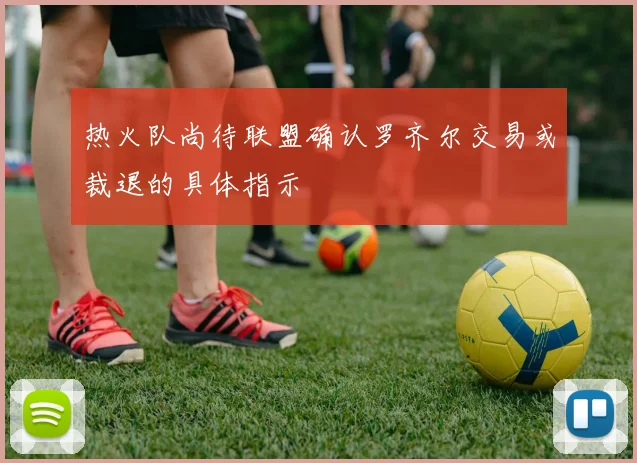 热火队尚待联盟确认罗齐尔交易或裁退的具体指示