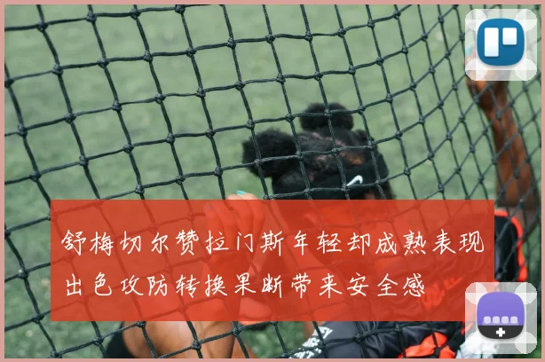 舒梅切尔赞拉门斯年轻却成熟表现出色攻防转换果断带来安全感